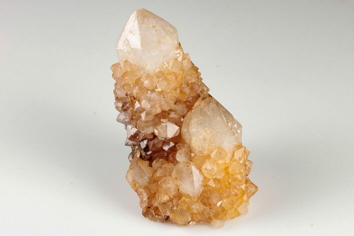 Sunshine Cactus Quartz Crystal Cluster - South Africa #191793